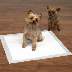 Clean Go Pet Maximum Puppy  Pad